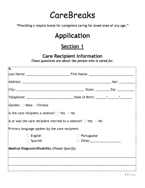 CareBreaks Application Diocese of Providence Diocesepvd  Form