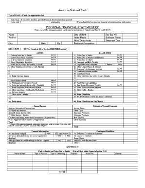 Personal Financial Statement Form