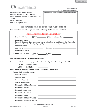 Idaho Medicaid Application PDF  Form