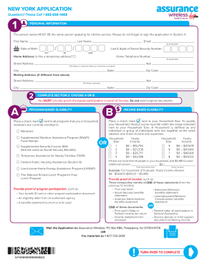 Assurance Wireless Application Printable  Form