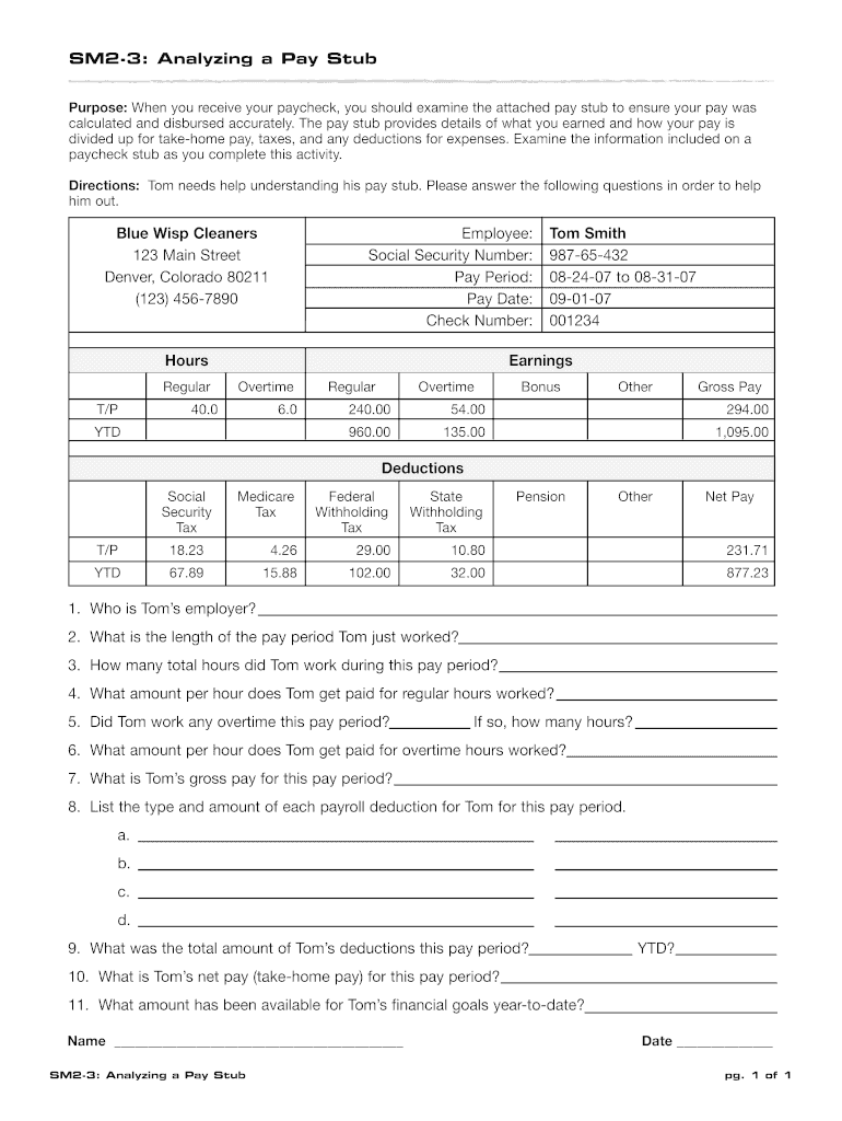 Analyzing a Pay Stub Worksheet  Form