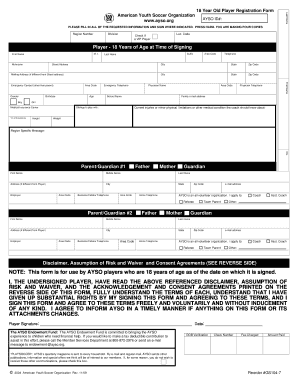 Yso Registration Form