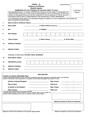 Pakistan Embassy Madrid Passport Form