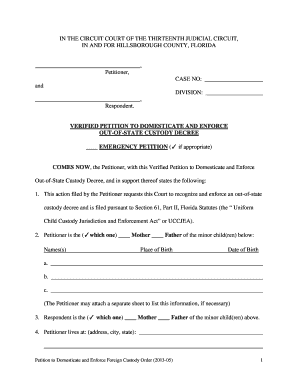 Child Custody Decree Sample  Form