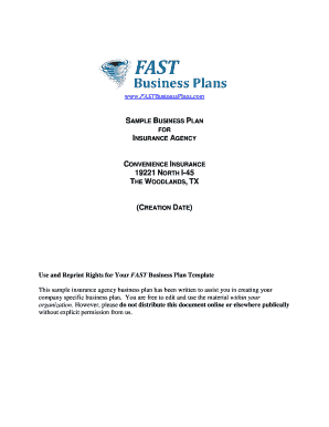 Insurance Agency Business Plan Template  Form