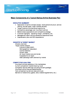 Airline Business Plan PDF  Form
