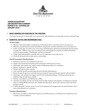 Junior Accountant Job Description  Form