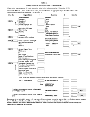 Example Farm Accounts Ireland  Form