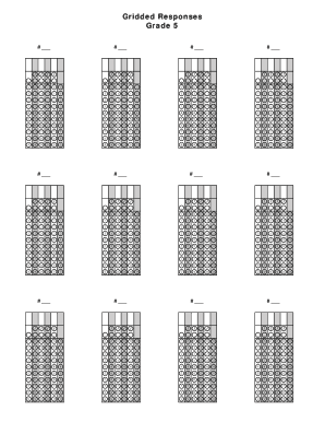 Gridded Response Practice Sheet  Form