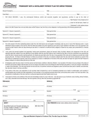 Promissory Note Payment Form