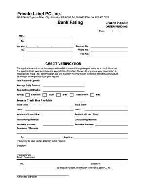 Credit Rating Form XLS