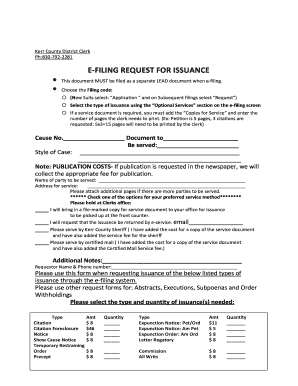 E File Request Issuance Kerr County  Form