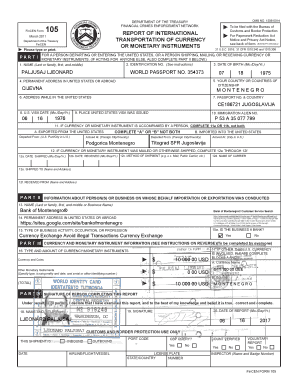 Fincen Form 105 Sample