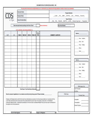 Cds in Texas Timesheet PDF  Form