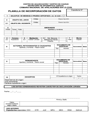 Planilla De Incorporacion De Datos Virtual  Form