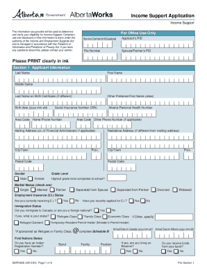  Income Support Application 2013-2024