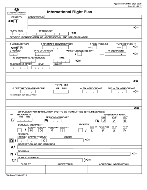 Icao Flight Plan Form