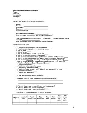 Barangay Social Investigation Form