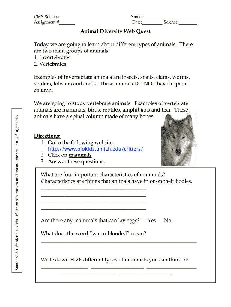 Animal Diversity Webquest Answer Key  Form