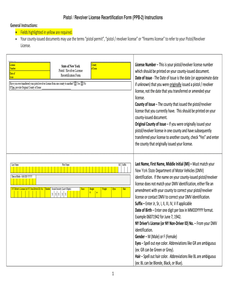 Pistol Instructions  Form