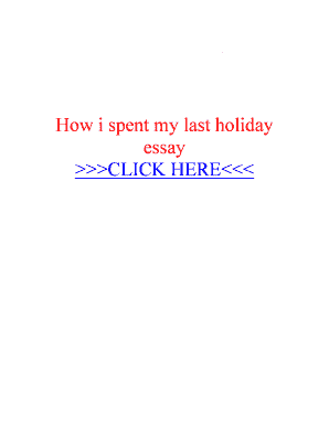 How I Spent My Last Holiday PDF  Form