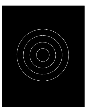 Life Wheel PDF  Form