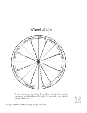 Wheel of Life 12 09 Bold Steps, Inc  Form