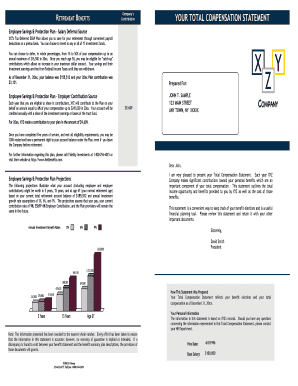 Total Compensation Statement Template Excel  Form