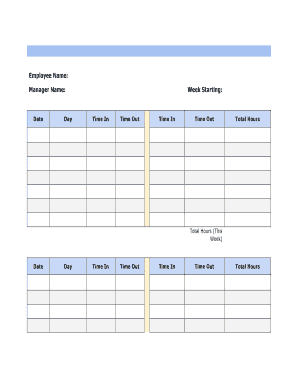 Bi Weekly Timesheet  Form