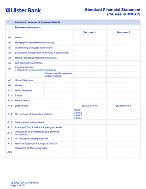 Example of Completed Standard Financial Statement Ulster Bank  Form