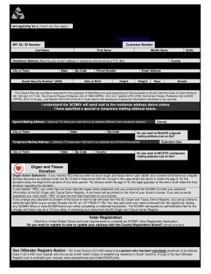  Form 447 NC  Sc Dmv 2012