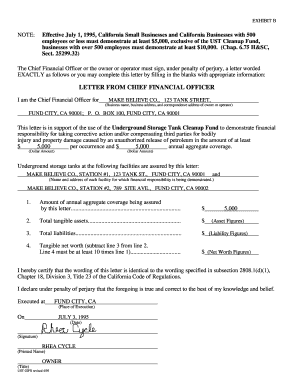 Letter from the Chief Financial Officer Unidocs Org  Form