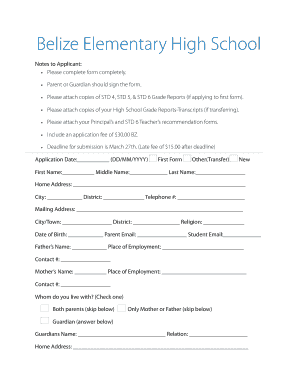 High School Application Form