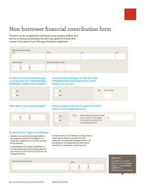  Non Borrower Financial Contribution Form Wells Fargo 2016-2024