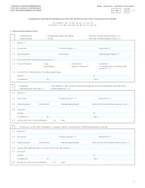 E401 Formular