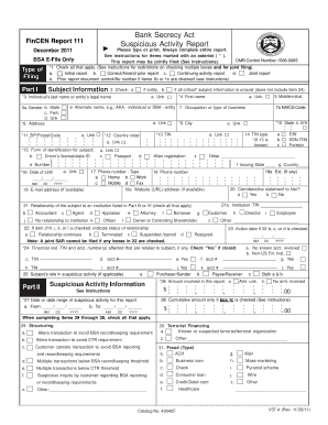 FinCEN Form 10X, SAR DI SAR DI 0408