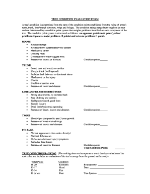 Grand Oak TREE CONDITION EVALUATION FORM DOC