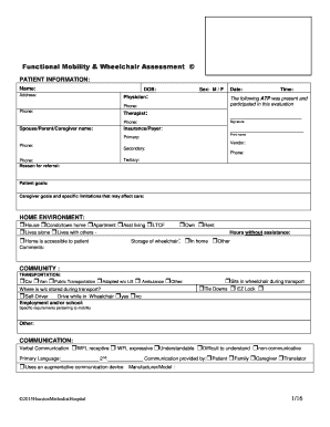 Functional Mobility Assessment Form