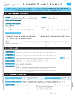 Dpae Remplissable Word  Form