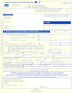 2031 Remplissable  Form