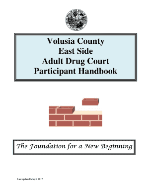  Voulisa County Drug Court 2017