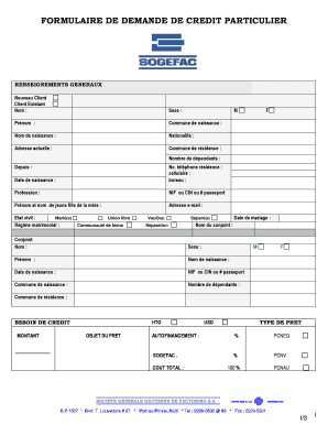 Formulaire De Demande De Cr Dit PDF