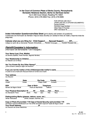 Berks County Domestic Relations  Form