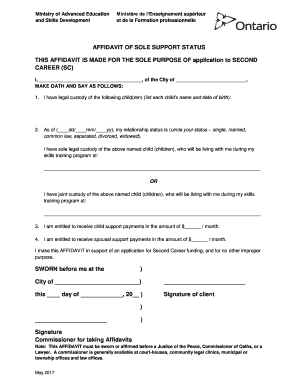 Second Career Affidavit of Sole Support Status Ministry of  Form