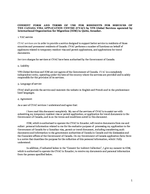 CONSENT FORM and TERMS of USE for VFS Global