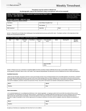 Msi Timesheet  Form