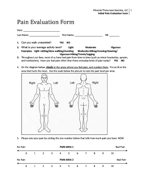 Initial Pain Evaluation Form Phoenix Thera Lase Systems
