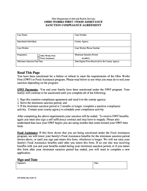  Sanction Compliance Form Fairfield County Job and Family Services 2013