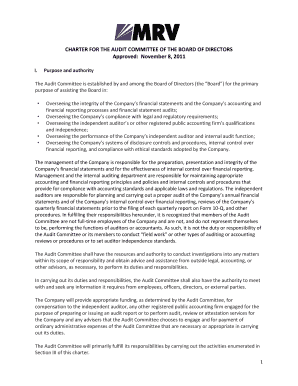 Audit Charter Example  Form