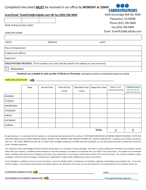 Career Strategies Time Sheet  Form